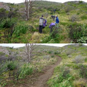 10. Before & after new trail construction. Credit Eric Lee