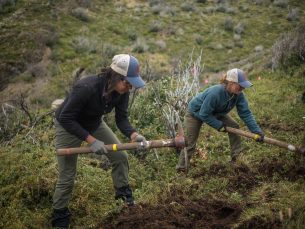 11. Legacy Fund director Emily Green providing on the job instruction for CONAF ranger Marta Lobos.Credit Project Eudaimonia