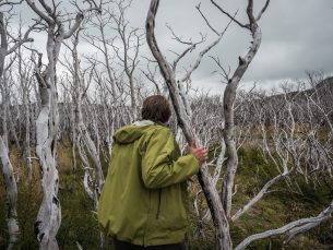 3.Walking through burned forest.Credit Project Eudaimonia