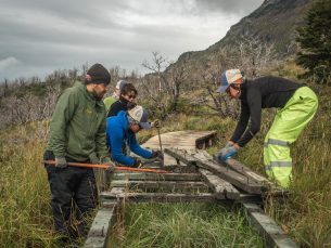 5. Rangers and volunteers repairing old boardwalk near Campamento Italiano.Credit Project Eudaimonia