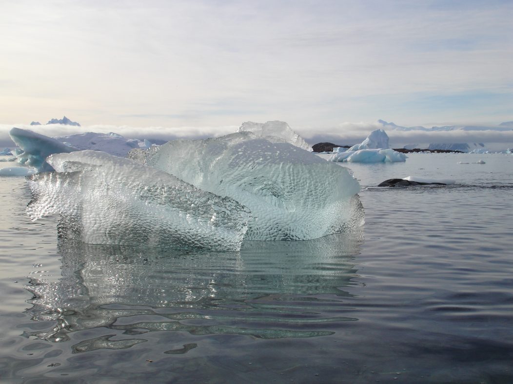Antarctic-Ice-2