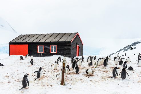 Penguin Post Office