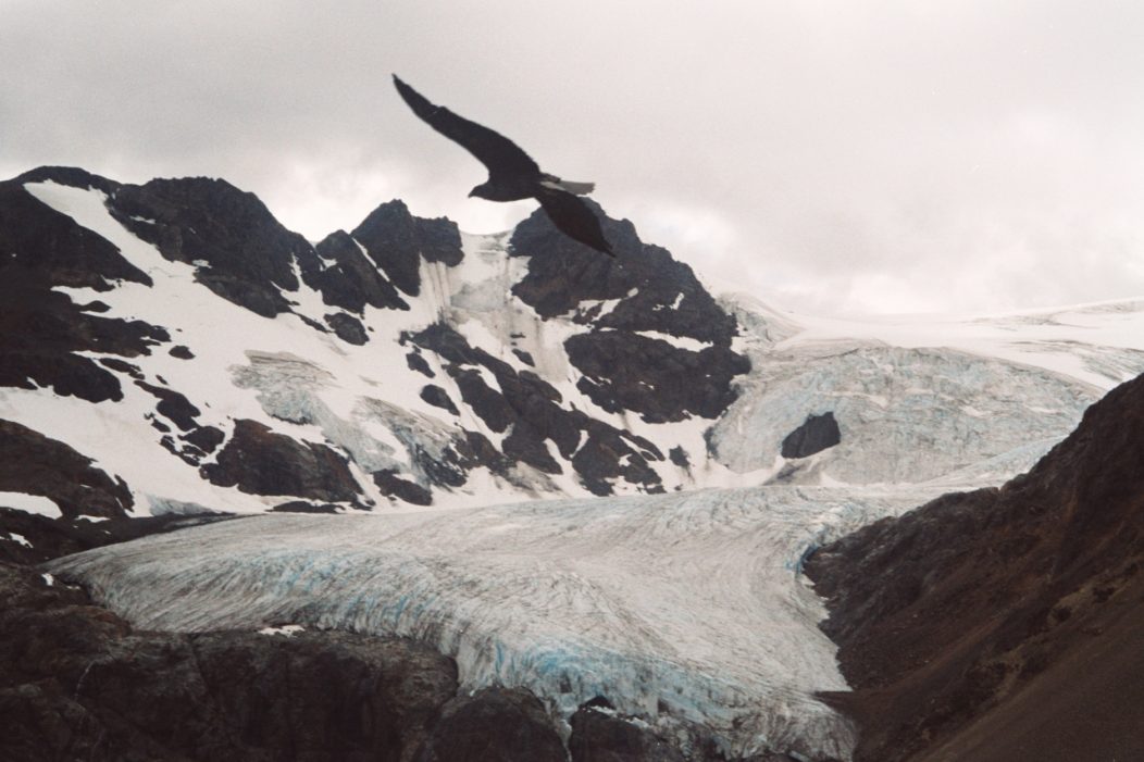 Condors over the Paso de Picotas, South Aysen, Chile